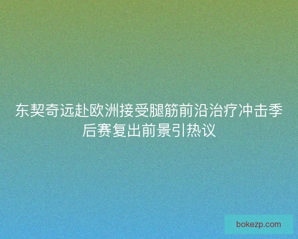 东契奇远赴欧洲接受腿筋前沿治疗冲击季后赛复出前景引热议